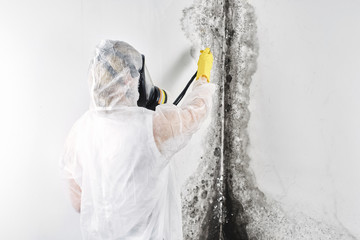 Do You Need to Pay For Mold Remediation?
